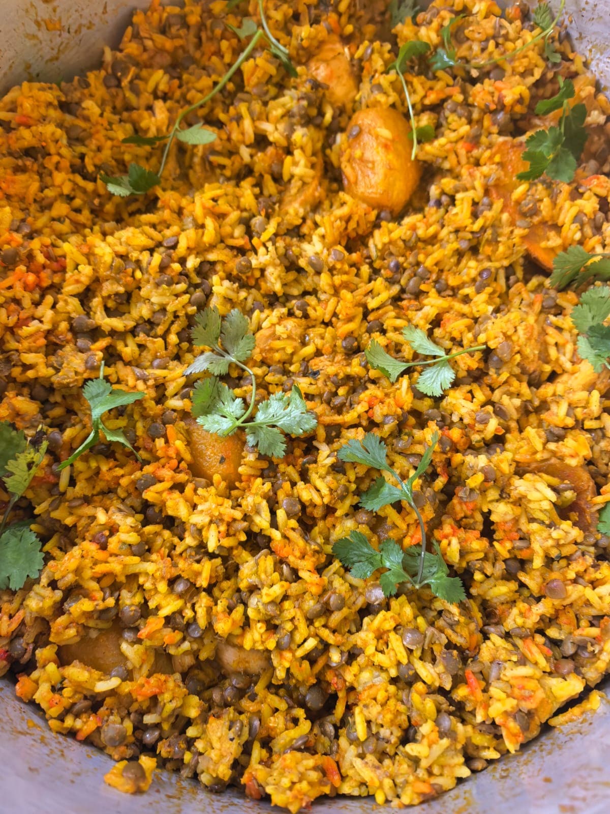 Fragrant biryani by the tray