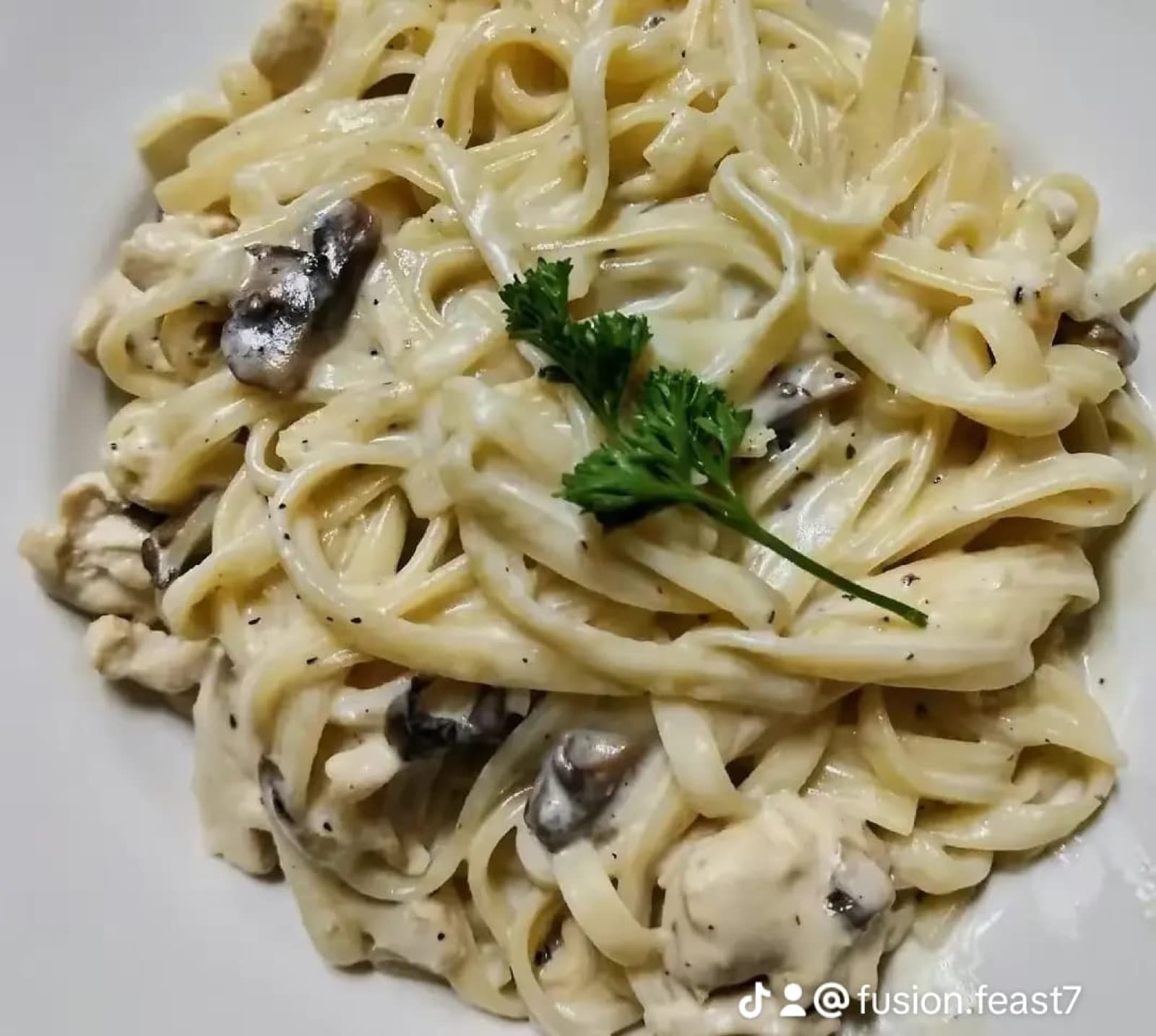 Creamy mushroom alfredo